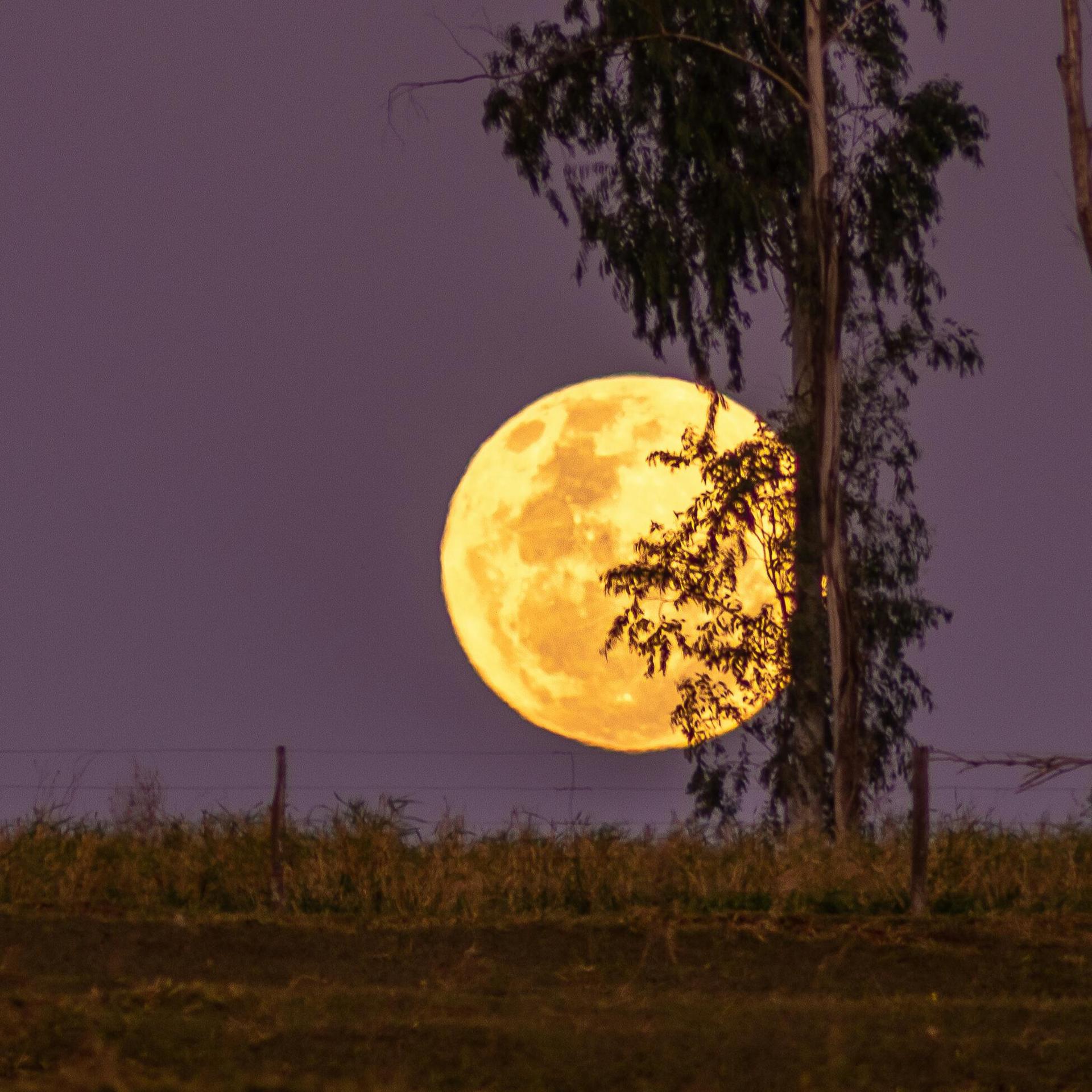 Look Up! It’s The Final Supermoon Of The Year