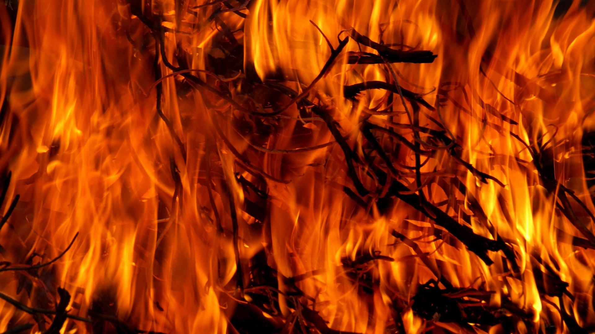 80-Acre Wildfire In Juneau County Evacuates Homes