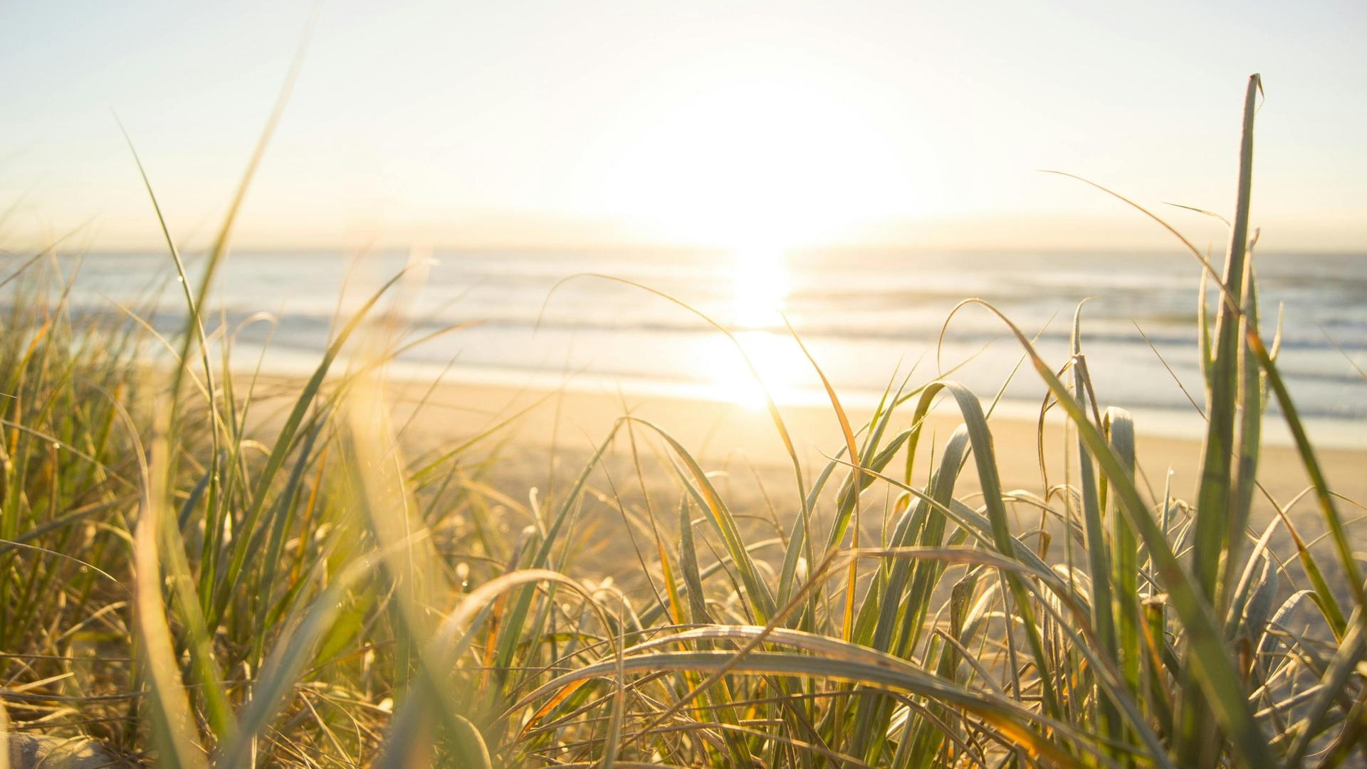 Summer temps sure to bring heat & humidity soon