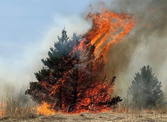 Extreme Fire Danger for Northern Wisconsin