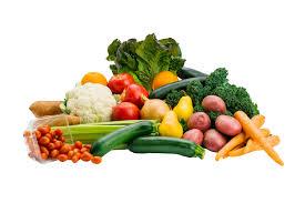Park Falls Farmers Market