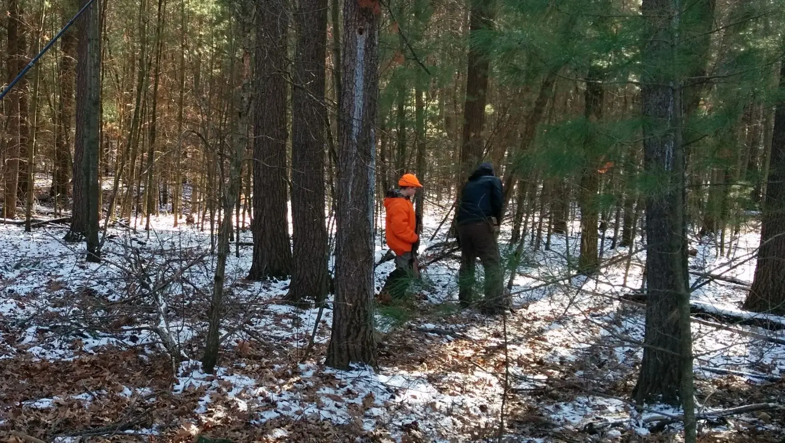 Look for missing persons during hunting season