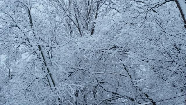 Cancellations and Delays for 12/10/25